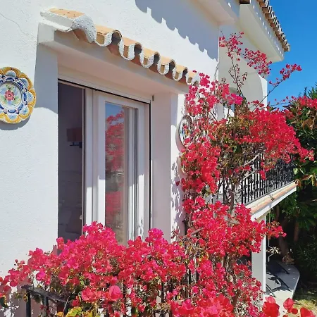 Διαμέρισμα Noctua Paraiso Alto 011